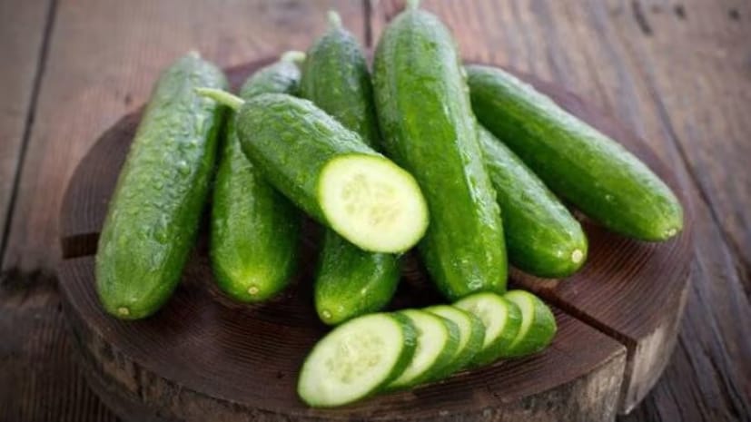 গবেষণা থেকে জানা গেছে যে শসার প্রচুর পরিমাণে জল রক্তপ্রবাহে ইউরিক অ্যাসিডকে পাতলা করতে সাহায্য করে, যার ফলে কিডনিতে পাথর হওয়ার সম্ভাবনা হ্রাস পায়, যা প্রায়শই উচ্চ ঘনত্বের সাথে থাকে। শসা, এর পিউরিন উপাদানের সাথে, ইউরিক অ্যাসিডের মাত্রা কমাতে চাওয়া যে কেউ একটি প্রাকৃতিক পথ প্রদান করে। শসার পুষ্টিগুণ সমৃদ্ধ গুণাবলীর সাথে হাইড্রেশন মিলিত হলে, কিডনির কার্যকারিতা সমর্থন করে এবং ইউরিক অ্যাসিডের মাত্রা নিয়ন্ত্রণে রাখতে সাহায্য করে।