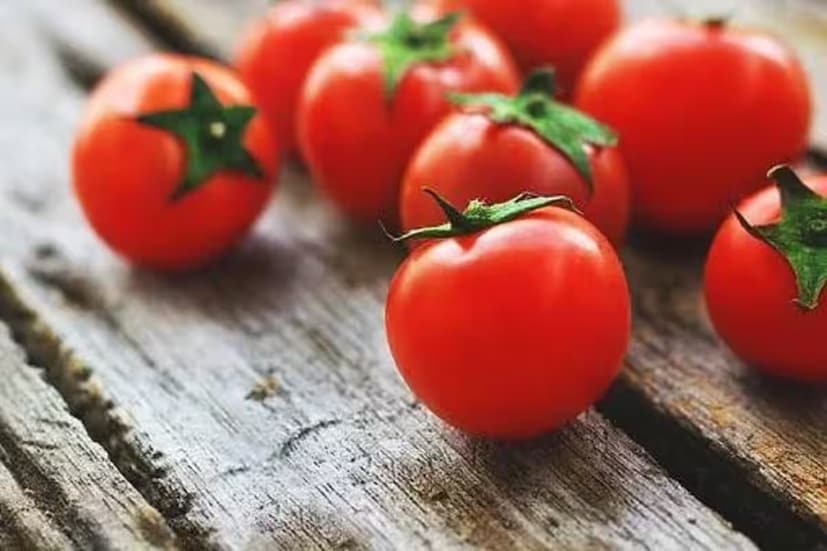 টমেটোতে প্রচুর পরিমাণে ভিটামিন সি থাকে এবং এটি হালকা ক্ষারীয় হিসেবে কাজ করে, যা অতিরিক্ত ইউরিক অ্যাসিডকে নিরপেক্ষ করতে সাহায্য করে এবং এর জমা নিয়ন্ত্রণে রাখতে পারে। টমেটোতে লাইকোপিন এবং অন্যান্য অ্যান্টিঅক্সিডেন্টও থাকে, যা স্ট্রেসের বিরুদ্ধে লড়াই করে, উচ্চ ইউরিক অ্যাসিডের মাত্রা ট্রিগার করতে পারে। গবেষণায় দেখা গেছে যে টমেটোকে নিয়মিত খাবারের অংশ করে তোলা, তা সালাদে ফেলে দেওয়া হোক, তরকারিতে সিদ্ধ করা হোক বা রস হিসেবে পান করা হোক, কিডনির কর্মক্ষমতা বৃদ্ধি করতে পারে এবং শরীরের প্রাকৃতিক ডিটক্স পথকে সমর্থন করতে পারে। টমেটোতে থাকা ভিটামিন সি রোগ প্রতিরোধ ক্ষমতাও বাড়ায়, যা অ্যাসিড কমানোর লক্ষ্যে খাদ্যতালিকায় এগুলি অন্তর্ভুক্ত করার আরেকটি কারণ যোগ করে। অ্যাসিডিটি এবং প্রদাহ কমাতে তাদের ক্ষমতা, গেঁটেবাত প্রতিরোধে এবং জয়েন্টের স্বাস্থ্য বজায় রাখতে সহায়তা করে।