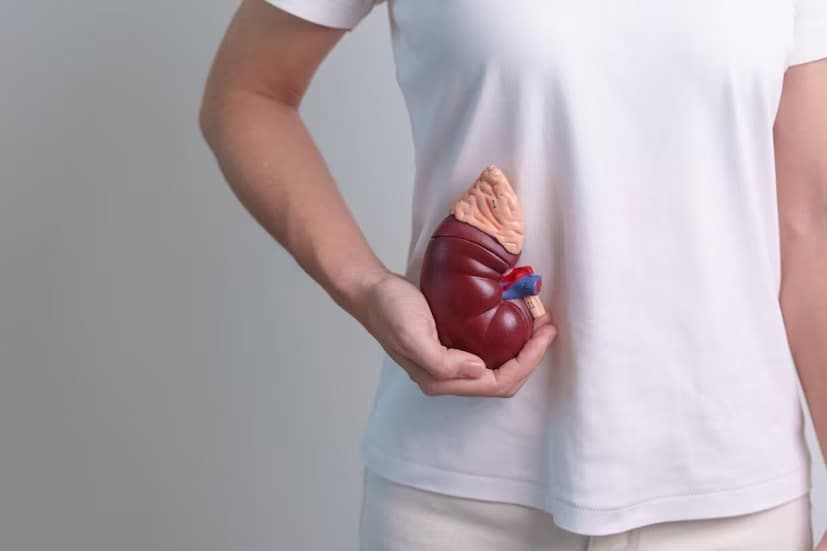 নিয়মিত চেক-আপ করানো জরুরি: কিডনি ঠিকমতো কাজ করছে কিনা তা পরীক্ষা করার জন্য রক্ত ​​এবং প্রস্রাব পরীক্ষা করা জরুরি। প্রতি ছ'মাস অন্তর অথবা বছরে একবার GFR (গ্লোমেরুলার ফিল্টারেশন রেট) পরীক্ষা করার জন্য ডাক্তারের কাছে যাওয়া জরুরি।