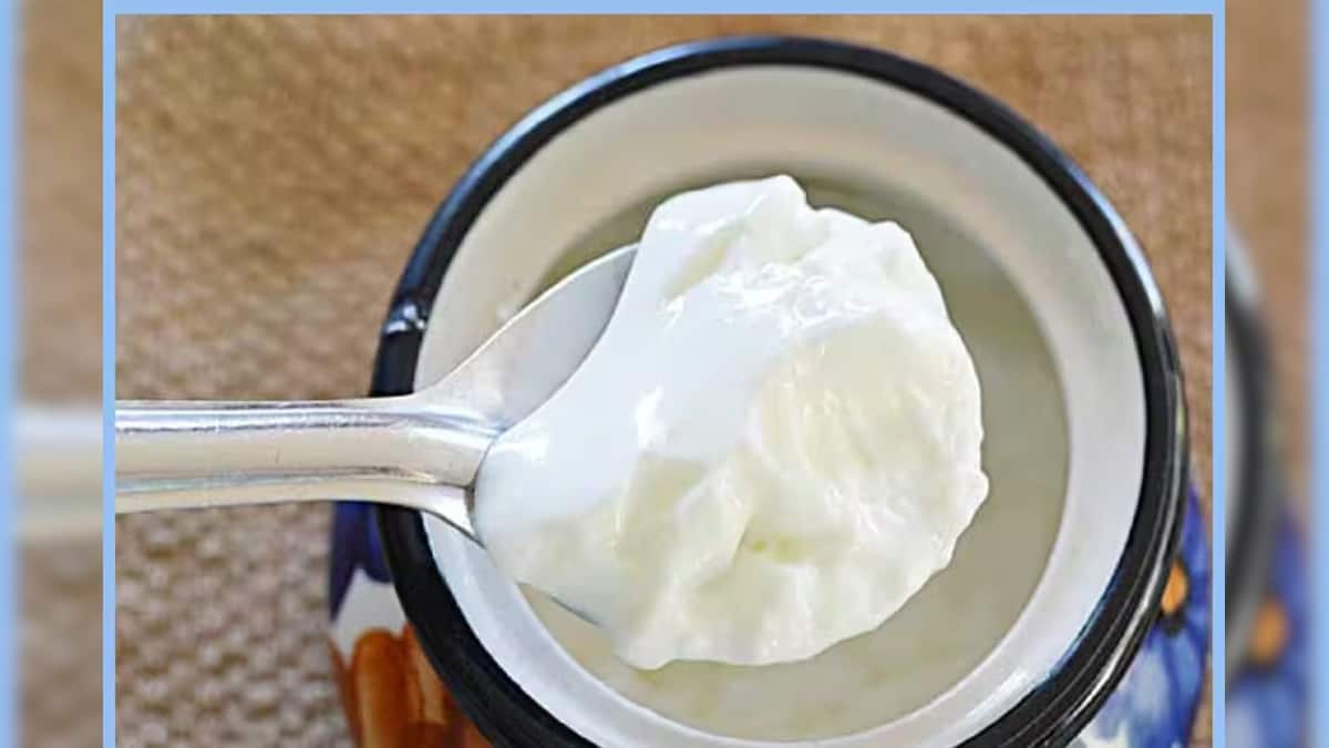 Healthy Lifestyle: সকালে খালি পেটে ভুলেও খাবেন না দই-সহ এই কয়েক খাবার! রইল পুরো তালিকা