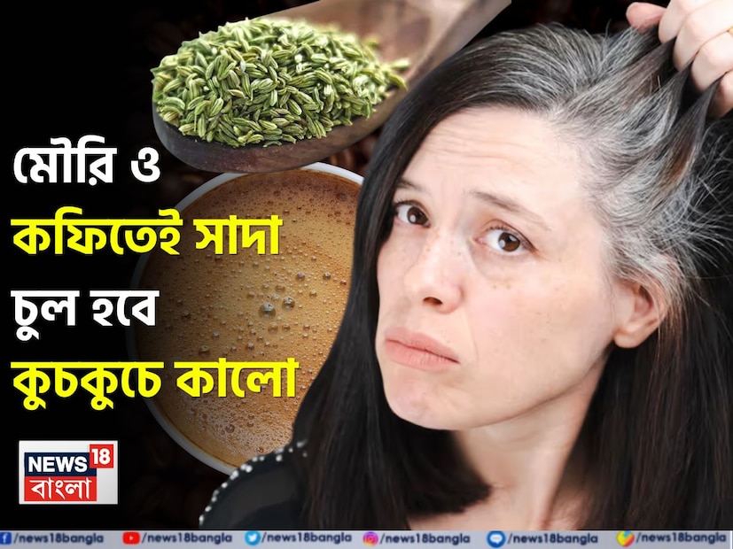 আজকাল চুল পাকা হওয়া কেবল প্রাপ্তবয়স্কদেরই নয়, তরুণদেরও সমস্যায় ফেলছে। এমনকি কিশোর-কিশোরীদেরও অকাল পাকা হওয়ার সমস্যা দেখা দিচ্ছে। কিছু লোকের বয়স ৩০-৩৫ বছর, কিন্তু তাদের চুল সম্পূর্ণ পাকা হয়ে যায়, যার ফলে তারা বৃদ্ধ হয়ে ওঠে। বাজারে অনেক ধরণের হেয়ার ডাই পাওয়া যায়। আজকাল চুল পাকা হওয়া কেবল প্রাপ্তবয়স্কদেরই নয়, তরুণদেরও সমস্যায় ফেলছে। এমনকি কিশোর-কিশোরীদেরও অকাল পাকা হওয়ার সমস্যা দেখা দিচ্ছে। কিছু লোকের বয়স ৩০-৩৫ বছর, কিন্তু তাদের চুল সম্পূর্ণ পাকা হয়ে যায়, যার ফলে তারা বৃদ্ধ হয়ে ওঠে। বাজারে অনেক ধরণের হেয়ার ডাই পাওয়া যায়।