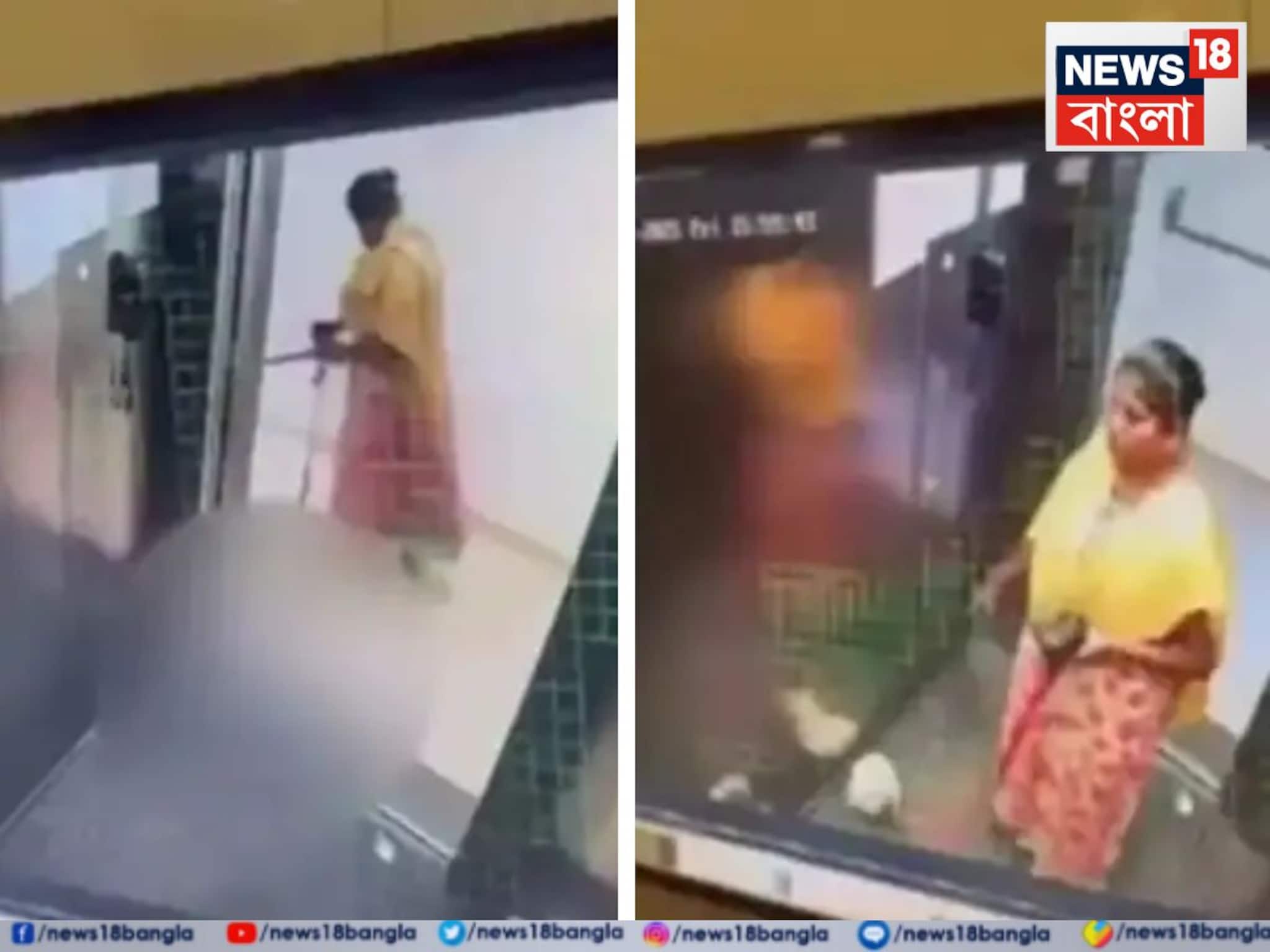 Crime News: পোষ‍্য দেখভালের বেতন ২৩,০০০! তবু লিফটে কুকুরছানাকে খুন! বেঙ্গালুরুর গৃহকর্মীর নৃশংসতা