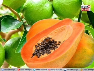 ওজন কমানো থেকে উজ্জ্বল ত্বক! প্রতিদিন সকালে এক বাটি পেঁপে-লেবুতেই মিলবে সমাধান!