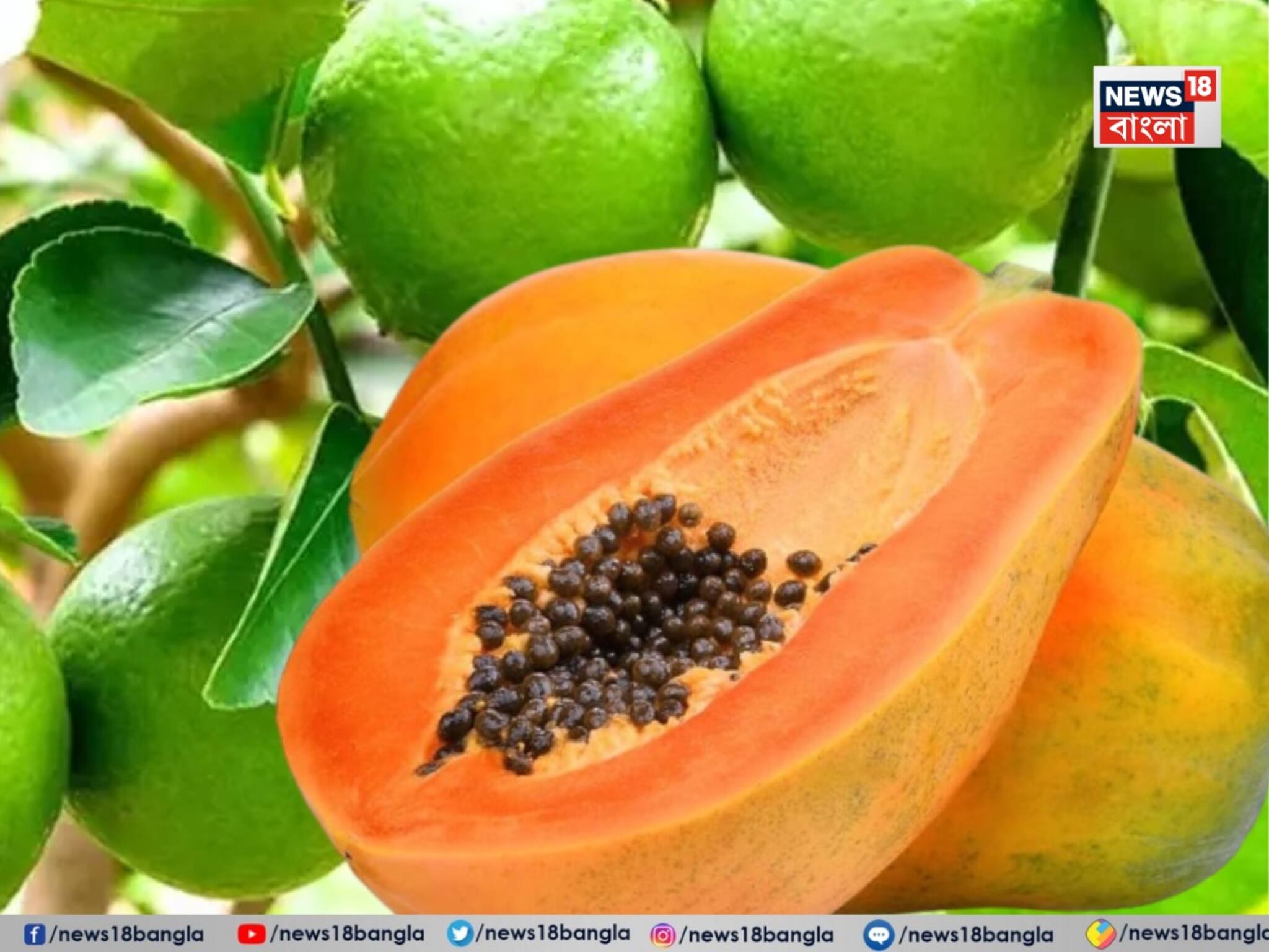 Weight Loss Tips: ওজন কমানো থেকে উজ্জ্বল ত্বক! প্রতিদিন সকালে এক বাটি পেঁপে-লেবুতেই মিলবে সমাধান!