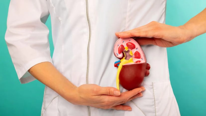 যদি পাথর ছোট হয় এবং আপনি সঠিক খাদ্যাভ্যাস বজায় রাখেন, পর্যাপ্ত জল পান করেন এবং আপনার ডাক্তারের পরামর্শ অনুসরণ করেন, তাহলে এটি প্রস্রাবের মাধ্যমে বের করে দেওয়া যেতে পারে। নিয়মিত চেকআপ, সুষম খাদ্য এবং একটি সক্রিয় জীবনধারা কেবল পাথর থেকে মুক্তি দিতে পারে না বরং ভবিষ্যতে এর পুনরাবৃত্তির সম্ভাবনাও উল্লেখযোগ্যভাবে হ্রাস করতে পারে।