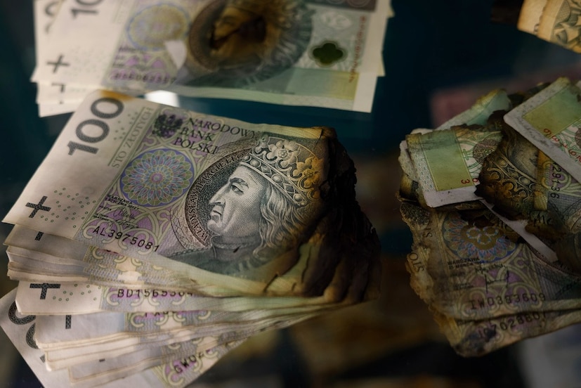 ১০০টি ছোট অংশে বিভক্ত:পোল্যান্ডের মুদ্রা, জ্লটি, ১০০টি ছোট টুকরোতে ভাগ করা হয় যাকে গ্রোজি বলা হয়। এখানে ১০, ২০, ৫০, ১০০, ২০০ এবং ৫০০ জ্লটি নোট এবং ছোট মুদ্রা রয়েছে।