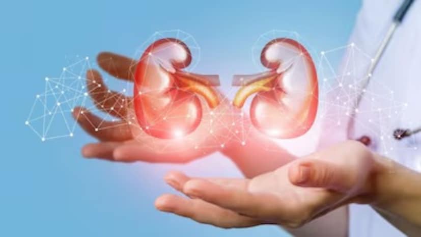 প্রাথমিক পর্যায়ে কিডনি ক্যানসারের কোনও লক্ষণ নাও দেখা দিতে পারে। টিউমার যখন অগ্রসর হয়, তখন লক্ষণগুলি দেখা দিতে পারে। ফলস্বরূপ, কিডনি ক্যানসার প্রায়ই ছড়িয়ে পড়ার পরেই শনাক্ত করা হয়। বলছেন নয়ডার ফোর্টিস হাসপাতালের পরিচালক এবং নেফ্রোলজিস্ট ডাঃ অনুজা পোরওয়ালে৷