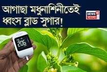 Blood Sugar & Liver Problem Control: বুনো লতা ‘মধুনাশিনী’-র কামাল! শরীরে গিয়ে আগাছার রস ধ্বংস করে চিনি! গলগলিয়ে সাফ লিভার, ফুসফুসের নোংরা!