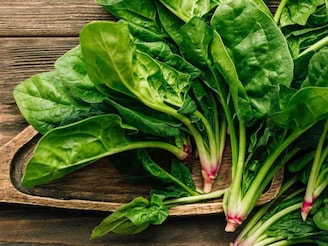 সব রোগের এক ওষুধ, পালং শাক...! গর্ভবতী নারী, শিশুদের বিশেষ উপকারী... হাজার অসুখ সারিয়ে শরী