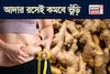 আদার রসেই পাল্টাবে খেলা! এভাবে খেলেই গলবে চর্বি! চুপসে যাবে অস্বস্তিকর বেয়ারা ভুঁড়ি!