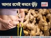 আদার রসেই পাল্টাবে খেলা! এভাবে খেলেই গলবে চর্বি! চুপসে যাবে অস্বস্তিকর বেয়ারা ভুঁড়ি!