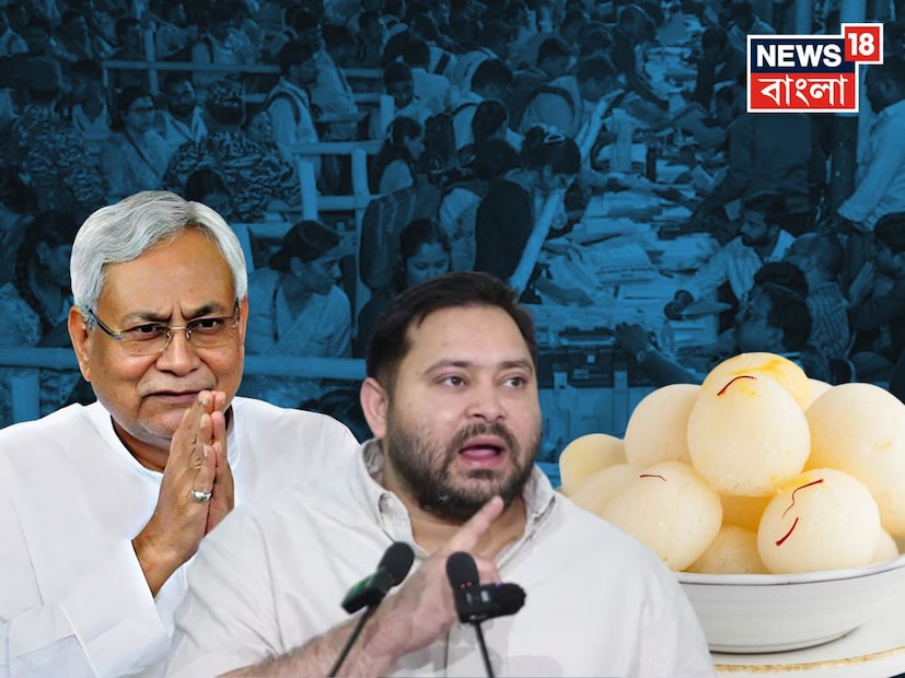 ভোটের আগে বিহার গ্রাউন্ড রিপোর্ট বলছিল, জনমানসে বিহারের বেকারত্বের হার নিয়ে যথেষ্ট অসন্তোষ ছিলই৷ যা নীতীশ গত ২০ বছরেও সামলে উঠতে পারেননি৷ কিন্তু, বিশেষজ্ঞেরা বলছেন, জনমানসের সেই উষ্মাকে ভোটের আগে মহিলাদের ১০ হাজার টাকা, বিনামূল্যে বিদ্যুৎ এবং বার্ধক্য ভাতা বাড়ানোর মতো নীতি দিয়ে আড়াল করতে পেরেছে এনডিএ৷ 