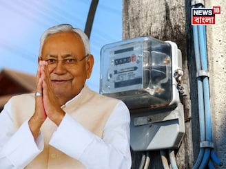 ‘ভেঁইস ভি পাঙ্খে কে নিচে শোতি হ্যায়..,’ বিহারে বড় ফ্যাক্টর, বিনামূল্যে বিদ্যুৎ!