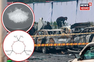 দেখতে নুনের মতো, কাজে ভয়ঙ্কর! ‘মাদার অফ সেটান’...দিল্লি বিস্ফোরণে মারাত্মক রাসায়নিক