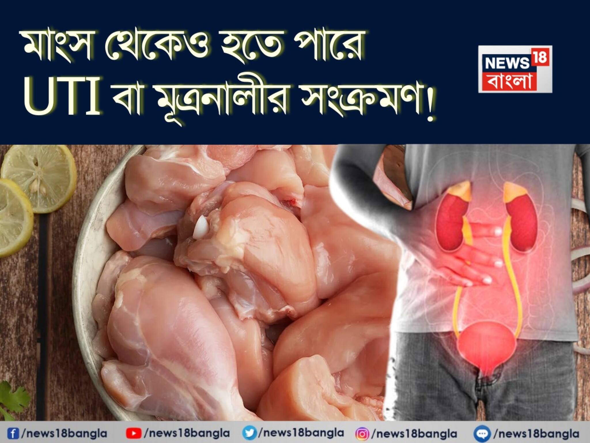 Meat & UTI: মাংস খেতে ভালবাসলে সাবধান! মাংস থেকেও হতে পারে UTI বা মূত্রনালীর সংক্রমণ! জানুন বাঁচার উপায়