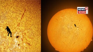 সূর্যের প্রেক্ষাপটে মানুষের স্কাইডাইভিংয়ের ছবি তুলে চমকে দিলেন জ্যোতির্বিদ