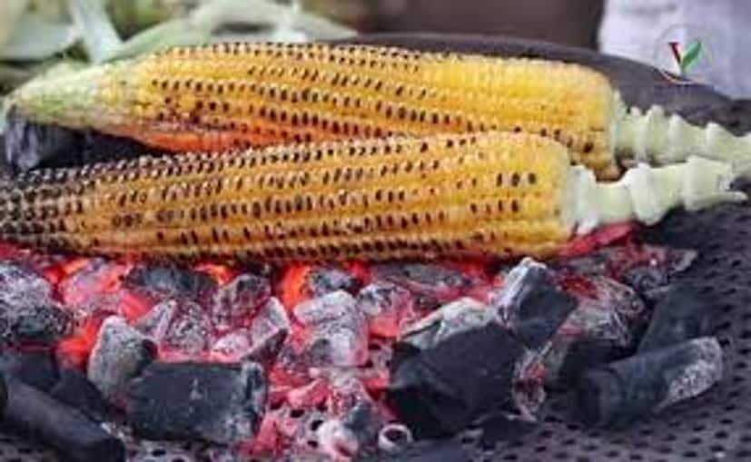 কার্তিক সংক্রান্তিতে ভুলেও খাবেন না টক দই৷ কোনও রকমের পোড়া খাবারও এই তিথিতে বর্জনীয়৷ মনে করা হয় শুভ তিথিতে পোড়া জাতীয় খাবার খেলে অকল্যাণ হবে সংসার ও পরিবারের৷