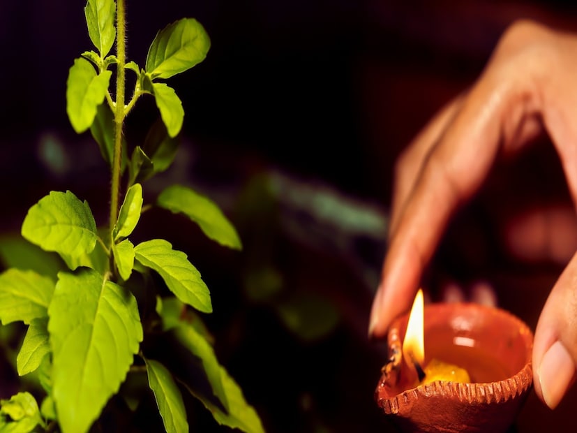 কার্তিক সংক্রান্তির সন্ধ্যায় তুলসিমঞ্চেও প্রদীপ জ্বালাতে ভুলবেন না৷ প্রদীপ প্রজ্বলনের পর তুলসিমঞ্চ প্রদক্ষিণ করে পুজো করুন৷ বাড়ির ঈশান কোণেও রাখুন প্রজ্বলিত প্রদীপ৷