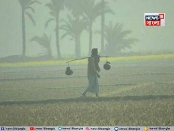 শক্তি হারিয়ে অতি গভীর নিম্নচাপে পরিণত 'দেতোয়া'! ২৪ ঘণ্টায় বৃষ্টিপাতের সম্ভাবনা