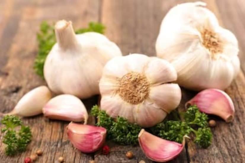 এটি অ্যান্টিভাইরাল, অ্যান্টিব্যাকটেরিয়াল এবং অ্যান্টিফাঙ্গাল ক্ষমতা দেখিয়েছে। রসুন হৃদরোগের উপর ইতিবাচক প্রভাব ফেলতে পারে। অ্যান্টিনোপ্লাস্টিক (ক্যান্সার প্রতিরোধী) কার্যকলাপের কিছু প্রমাণ রয়েছে। রসুনের অর্গানোসালফার যৌগগুলি কার্সিনোজেন প্রতিরোধে কেমোথেরাপিউটিক এজেন্ট হিসাবে কাজ করতে পারে। রসুন তার রোগ প্রতিরোধ ক্ষমতা বৃদ্ধিকারী কার্যকারিতার জন্য পরিচিত। আলঝাইমার্স রোগ, ডায়াবেটিস এবং কিছু সংক্রমণের মতো পরিস্থিতিতে সম্ভাব্য সুবিধার দিকেও ইঙ্গিত করে।