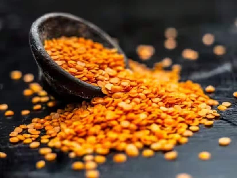 অগ্রহায়ণ মাসের শনিবার, পূর্ণিমা এবং একাদশীর মতো তিথিতে এড়িয়ে চলুন মুসুরডাল৷ কারণ এই ডালকে আমিষ তথা তামসিক আহার হিসেবে ধরা হয়৷ চেষ্টা করুন ছোলার ডালও পরিমাণে কম খেতে৷ মুগডাল, অড়হর ডালের মতো দানাশস্য খেতে পারেন৷