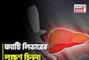 পচবে লিভার! হতে পারে ক্যানসারও! ভুঁড়ি, ক্লান্তি, পেটব্যথা...চিনুন ফ্যাটি লিভারের লক্ষণ!