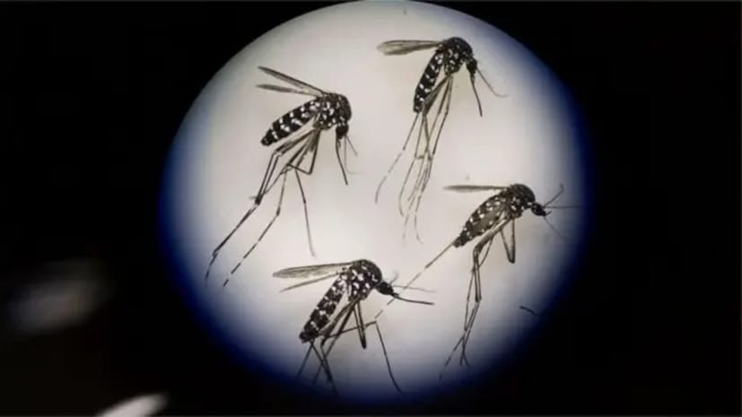 চেন্নাইয়ের গ্রিনলিফ ওয়েলনেস ক্লিনিকের জনস্বাস্থ্য বিশেষজ্ঞ ডাঃ রাধিকা মেনন তাঁর পরামর্শে বলেন, 