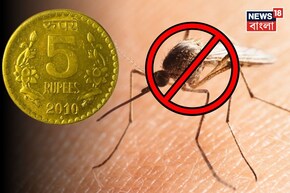 মাত্র ৫ টাকাই যথেষ্ট...! টানা ১ বছর ঘর থাকবে মশামুক্ত! শিখে নিন সহজ নির্ঝঞ্ঝাট টোটকা