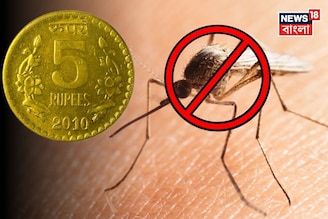 মাত্র ৫ টাকাই যথেষ্ট...! টানা ১ বছর ঘর থাকবে মশামুক্ত! শিখে নিন সহজ নির্ঝঞ্ঝাট টোটকা