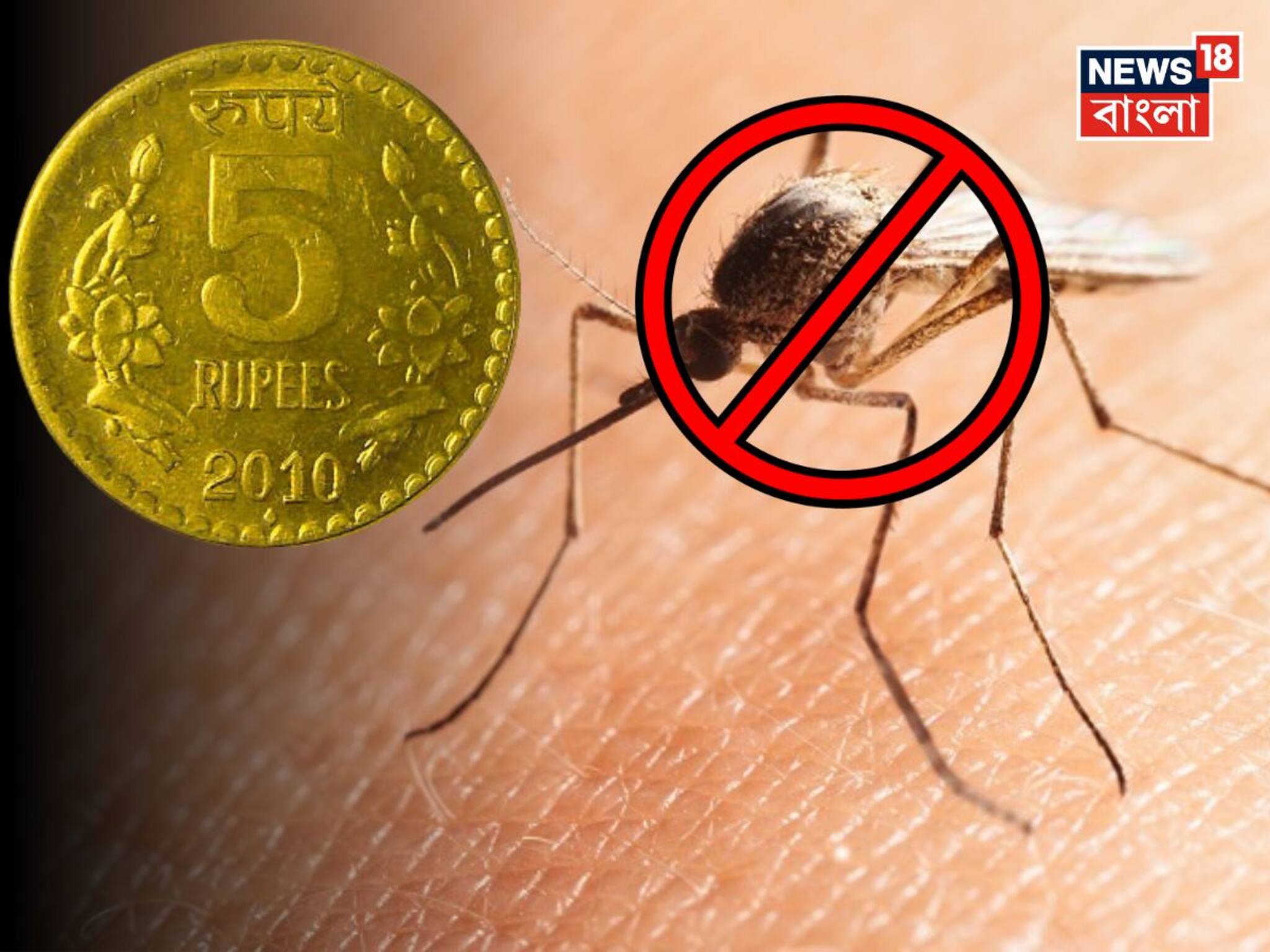 মাত্র ৫ টাকাই যথেষ্ট...! টানা ১ বছর ঘর থাকবে মশামুক্ত! শিখে নিন সহজ নির্ঝঞ্ঝাট টোটকা, ছোট্ট কৌশলেই কিস্তিমাত!