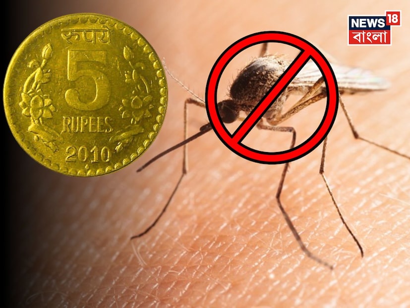 শীতকালে গরম থেকে মুক্তি পেলেও মশার হাত থেকে মুক্তি নেই! বিশেষ করে সন্ধের পর বেশিরভাগ বাড়িতেই মশার উৎপাতে বসার উপায় থাকে না। অনেক সময়ই মশার উপদ্রব চরম আকার নেয়। সেক্ষেত্রে আমরা বিভিন্ন মশা মারার ওষুধ, স্প্রে, কয়েল, ধুপ বা ইলেকট্রিক কয়েল ব্যবহার করে থাকি। শীতকালে গরম থেকে মুক্তি পেলেও মশার হাত থেকে মুক্তি নেই! বিশেষ করে সন্ধের পর বেশিরভাগ বাড়িতেই মশার উৎপাতে বসার উপায় থাকে না। অনেক সময়ই মশার উপদ্রব চরম আকার নেয়। সেক্ষেত্রে আমরা বিভিন্ন মশা মারার ওষুধ, স্প্রে, কয়েল, ধুপ বা ইলেকট্রিক কয়েল ব্যবহার করে থাকি।