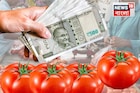 এক ধাক্কায় ৫০% দাম বাড়ল টমেটোর! কেন 'সোনার দরে' বিক্রি হচ্ছে লাল সবজি? জানলে মাথায় হাত