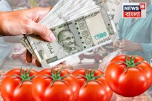 Tomato Price Rise: এক ধাক্কায় চরচর করে ৫০% দাম বাড়ল টমেটোর! কেন 'সোনার দরে' বিক্রি হচ্ছে লাল সবজি? জানলে মাথায় হাত পড়বে