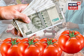এক ধাক্কায় ৫০% দাম বাড়ল টমেটোর! কেন 'সোনার দরে' বিক্রি হচ্ছে লাল সবজি? জানলে মাথায় হাত