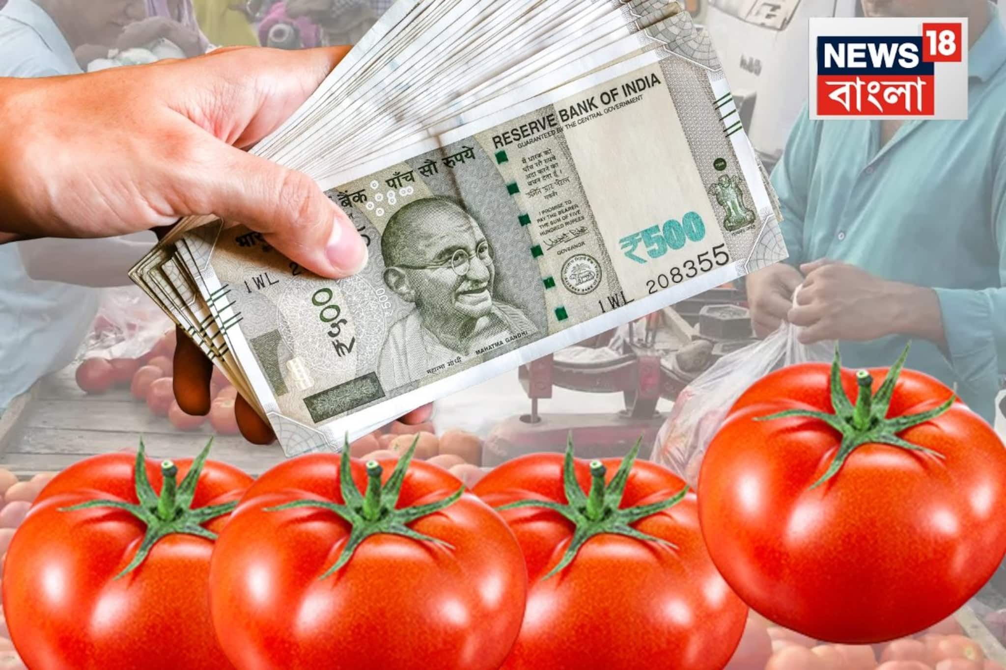 এক ধাক্কায় ৫০% দাম বাড়ল টমেটোর! কেন 'সোনার দরে' বিক্রি হচ্ছে লাল সবজি? জানলে মাথায় হাত