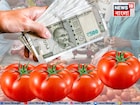 এক ধাক্কায় ৫০% দাম বাড়ল টমেটোর! কেন 'সোনার দরে' বিক্রি হচ্ছে লাল সবজি? জানলে মাথায় হাত