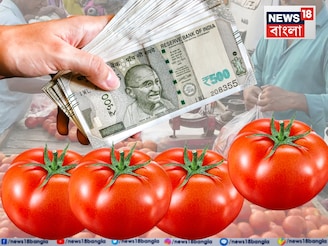 এক ধাক্কায় ৫০% দাম বাড়ল টমেটোর! কেন 'সোনার দরে' বিক্রি হচ্ছে লাল সবজি? জানলে মাথায় হাত