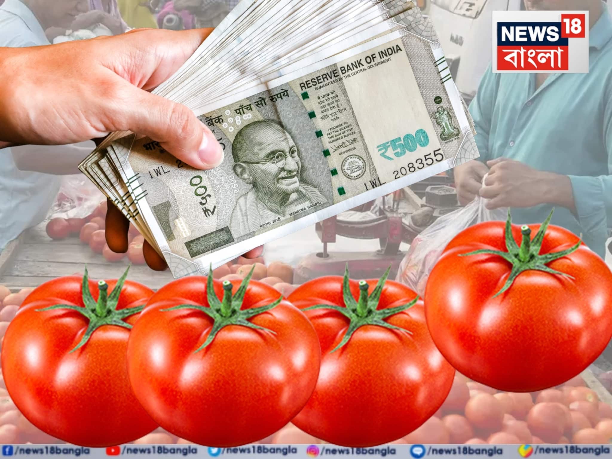 Tomato Price Rise: এক ধাক্কায় চরচর করে ৫০% দাম বাড়ল টমেটোর! কেন 'সোনার দরে' বিক্রি হচ্ছে লাল সবজি? জানলে মাথায় হাত পড়বে