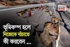 ভূমিকম্প হলে নিজেকে বাঁচাতে কী করবেন জানেন...? আতঙ্কিত না হয়ে জানুন সঠিক পদ্ধতি!