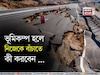 ভূমিকম্প হলে নিজেকে বাঁচাতে কী করবেন জানেন...? আতঙ্কিত না হয়ে জানুন সঠিক পদ্ধতি!