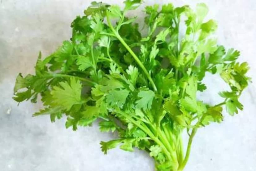 সাধারণত হজমের জন্য উপকারী হলেও, অতিরিক্ত পরিমাণে সেবন করলে গ্যাস, পেট ফাঁপা বা ডায়রিয়ার মতো হজমের সমস্যা হতে পারে। কারণ এটি হালকা রেচক হিসেবে কাজ করতে পারে এবং পাচনতন্ত্রকে অতিরিক্ত জ্বালাতন করতে পারে। 