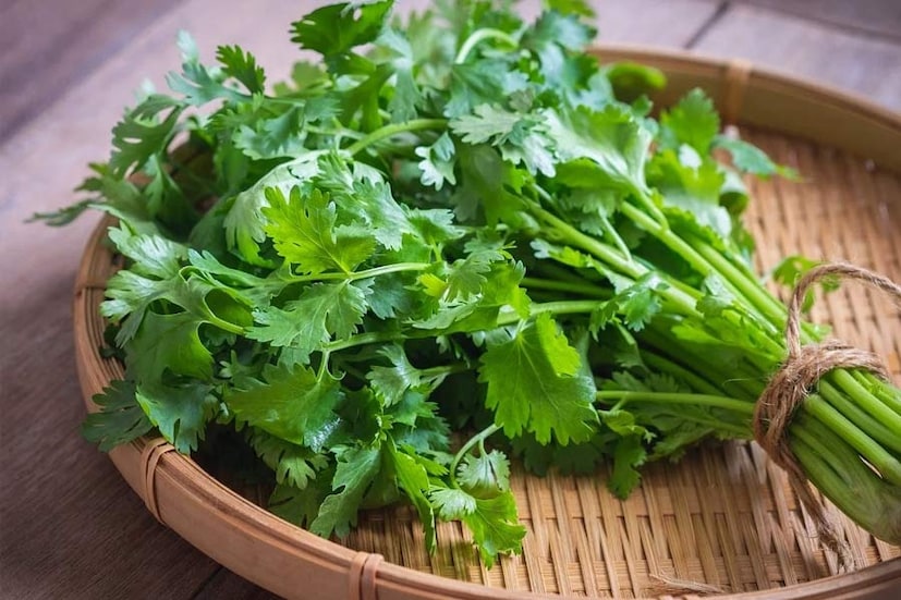 ধনেপাতা রক্তচাপ কমাতে পারে, যা রক্তচাপের ওষুধ সেবনকারী বা নিম্ন রক্তচাপের রোগীদের জন্য উদ্বেগের বিষয় হতে পারে। বেশি পরিমাণে গ্রহণের ফলে হাইপোটেনশন (বিপজ্জনকভাবে নিম্ন রক্তচাপ) হতে পারে, যার লক্ষণগুলি উদ্বেগ, ধড়ফড় এবং ঘাম হওয়া। 