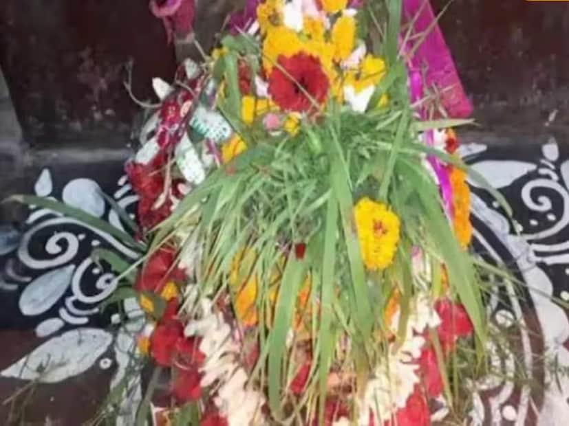 একটি মাটির ঘটে মাটি ভরে কচু, কলমি লতা, আখ, শুষনি, ধান, পাঁচ কলাই প্রভৃতি (পারিবারিক প্রথা অনুসারে গাছ এবং রীতি পাল্টে যায়) গাছ এবং বীজ বপন করে ইতু বানিয়ে তাকে পূজা করা হয়। প্রতিদিন শুদ্ধ বস্ত্রে শুদ্ধ মনে ইতুকে জল দান করা এই পুজোর রীতি। অগ্রহায়ণ মাসের প্রতি রবিবার ব্রাহ্মণ দিয়ে নৈবেদ্য সহযোগে পুজো করাতে হয় এবং ইতুর ব্রত কথা শুনতে হয়। পুরো অগ্রহায়ণ মাস ধরে পুজোর পর অগ্রহায়ণ সংক্রান্তিতে পুকুর বা নদীতে ইতুর বিসর্জন দিতে হয়।