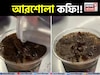 একটু পোড়া পোড়া গন্ধ-স্বাদে টক-টক! ইন্টারনেট কাঁপাচ্ছে 'আরশোলা কফি'! ভাইরাল