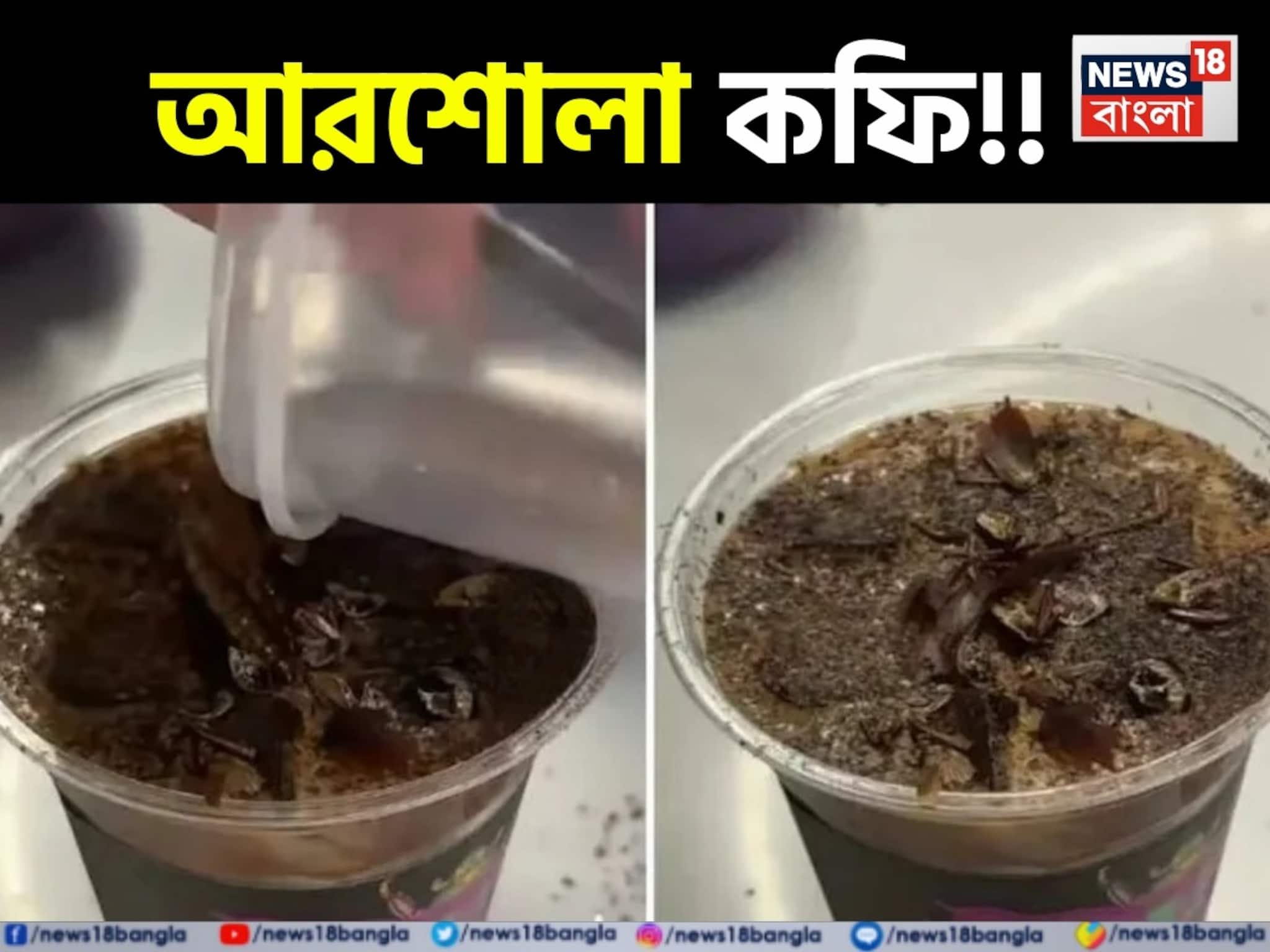 Viral News Cockroach Coffee: একটু পোড়া পোড়া গন্ধ-স্বাদে টক-টক! ইন্টারনেট কাঁপাচ্ছে 'আরশোলা কফি'! ভাইরাল