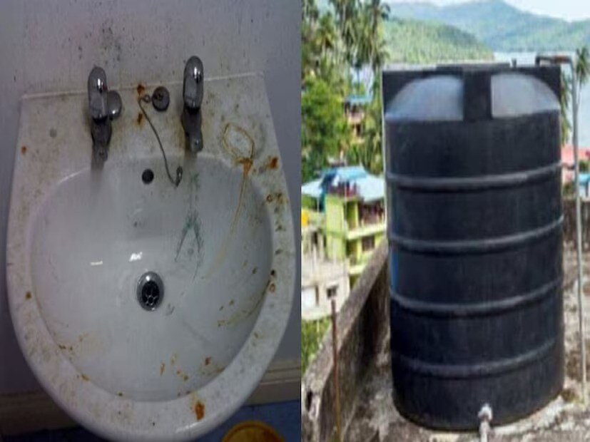 শুধু তাই নয় রান্নাঘরের সিঙ্ক এবং ঘরের সিঙ্ক পরিষ্কার করার চিন্তাও রীতিমতো মাথাব্যথার কারণ হয়ে দাঁড়ায়। মাঝে মাঝে পাইপ এবং বেসিনে জমে থাকা ময়লা দেখলেই গা গুলিয়ে ওঠে। কিন্তু ঘণ্টার পর ঘণ্টা চেষ্টা করেও যায়না বাদামি পল্লা। আচ্ছা বলুন তো, কীভাবে এইসব ময়লা দূর করবেন পরিশ্রম ছাড়া?