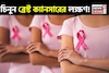 শুধুই নয় Lump! অসংখ্য লক্ষণে লুকিয়ে থাকে ব্রেস্ট ক্যানসার! কীভাবে টের পাবেন বিপদ, পড়ুন