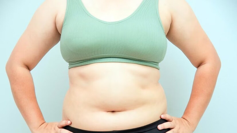 এই লুকানো চর্বিকে বলা হয় ভিসারাল ফ্যাট। ত্বকের নীচের নরম ত্বকের নিচের চর্বির বিপরীতে, ভিসারাল ফ্যাট লিভার, পাকস্থলী, অগ্ন্যাশয় এবং অন্ত্রের মতো গুরুত্বপূর্ণ অঙ্গগুলির চারপাশে নিজেকে আবৃত করে। 