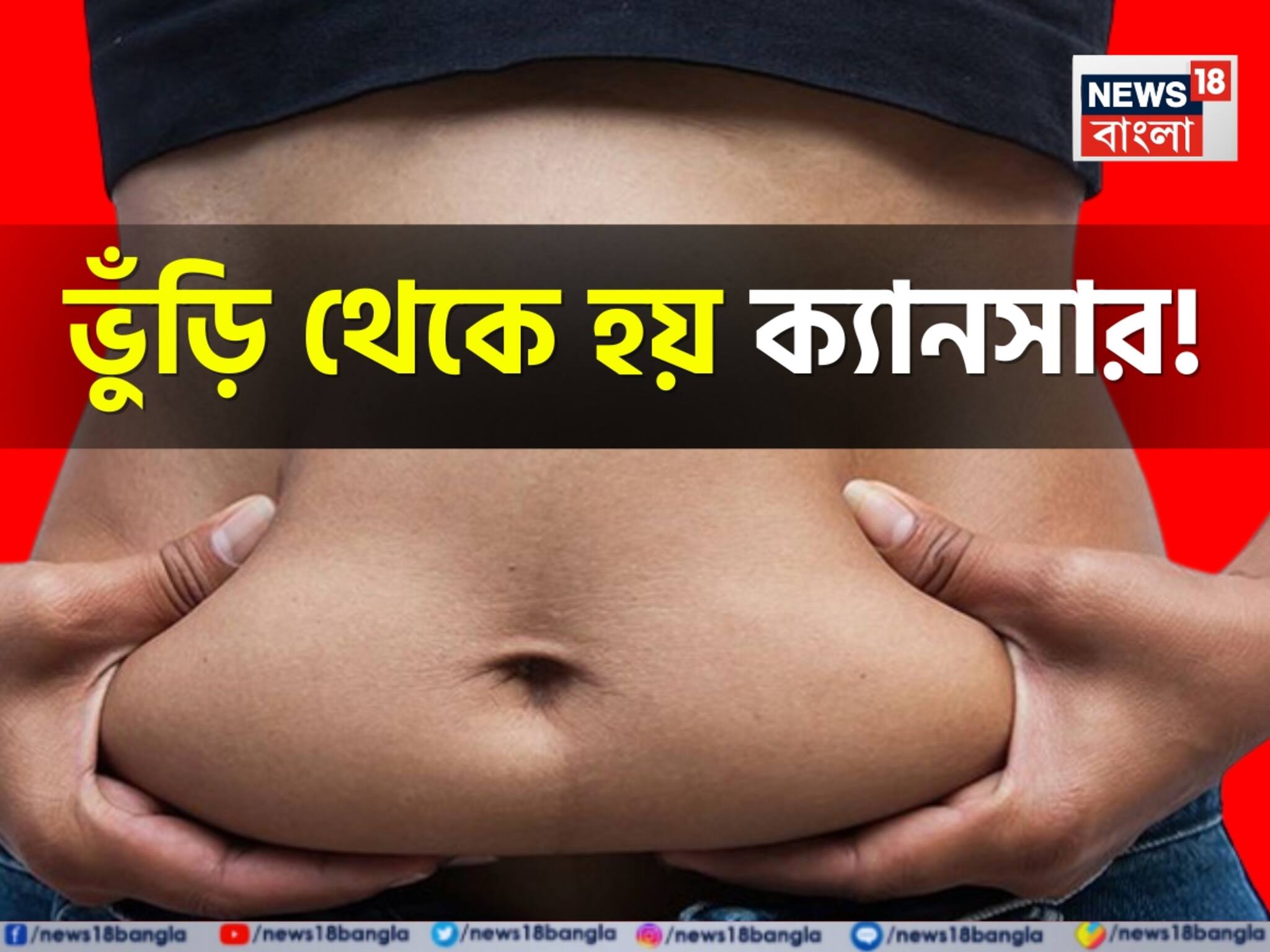 Belly Fat & Cancer: লিভার, পাকস্থলী, অগ্ন্যাশয় অন্ত্র ঘিরে জমে বিপজ্জনক চর্বি! ভুঁড়ি থেকে হয় ক্যানসার, ডায়াবেটিস! এখনই সতর্ক না হলে ভয়ঙ্কর ক্ষতি!
