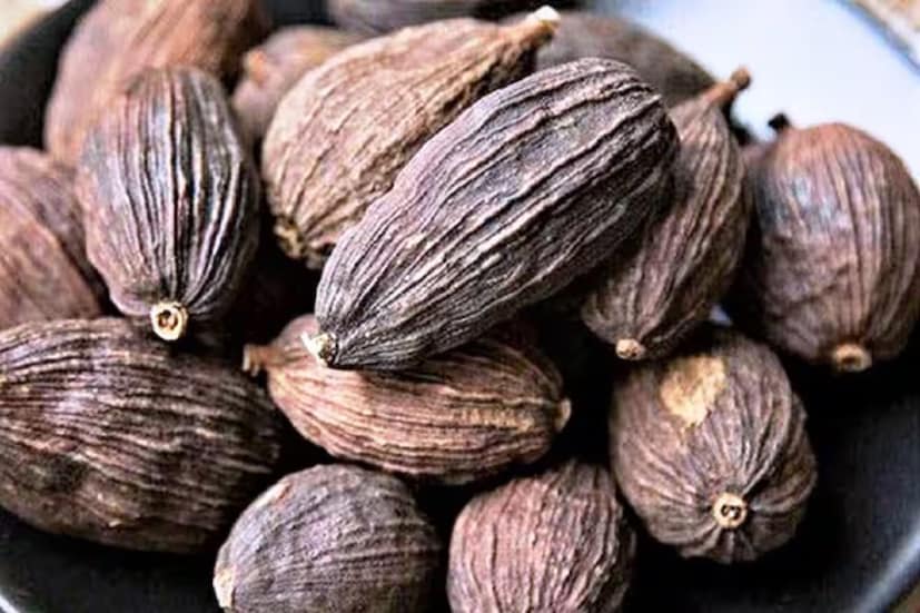 বিশেষজ্ঞ ডাঃ রবি আর্য ব্যাখ্যা করেন যে সপ্তাহে একবার বড় এলাচ খাওয়া হজমের উন্নতিতে সহায়ক। এটি পাচক এনজাইমগুলিকে সক্রিয় করে, গ্যাস এবং অ্যাসিডিটির মতো সমস্যা থেকে মুক্তি দেয়। এটি খাবারের পরে চিবিয়ে বা চায়ে যোগ করে পুরো খাওয়া যেতে পারে। তবে, এটি গরম প্রকৃতির কারণে, পিত্ত প্রকৃতির ব্যক্তিদের এটি সীমিত পরিমাণে বা ডাক্তারের সাথে পরামর্শ করার পরেই খাওয়া উচিত।